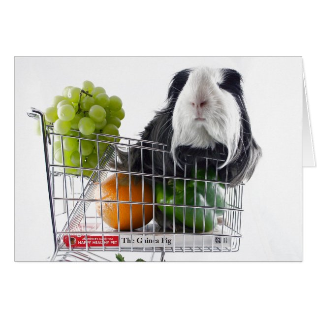 モルモットの買物熱 (正面横)