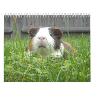 モルモットのcalander カレンダー