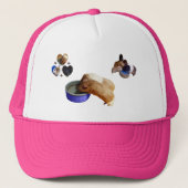 モルモットはおもしろい。 キャップ (正面)