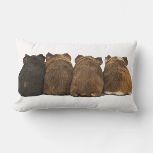 モルモットは装飾用クッションを接合します ランバークッション (正面)