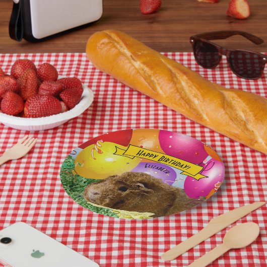 モルモットカラフルバルーンカスタムパーティー ペーパープレート (ピクニック)