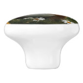 モルモットデイジー、 セラミックノブ (側面)