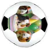 モルモットパーティー誕生パーティー サッカーボール (回転)