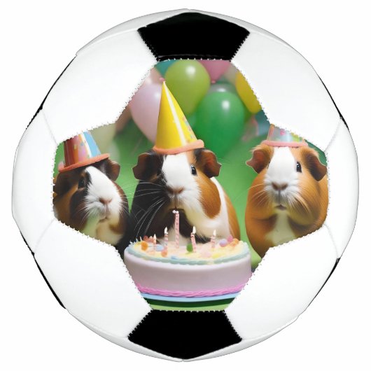 モルモットパーティー誕生パーティー サッカーボール (正面)