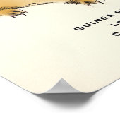 モルモット三量体 ポスター (角)