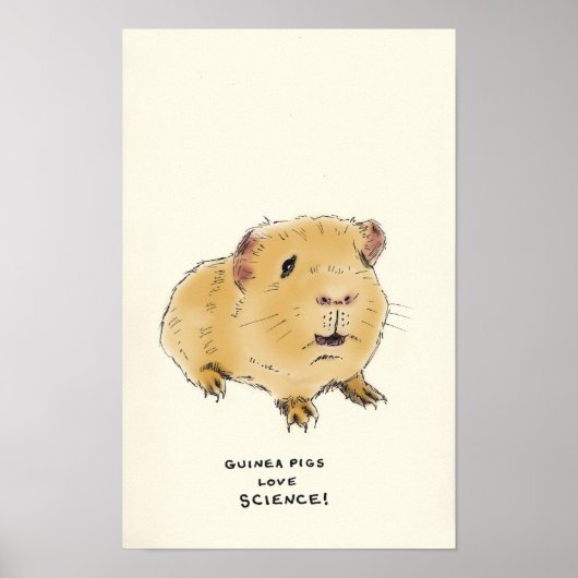 モルモット三量体 ポスター (正面)