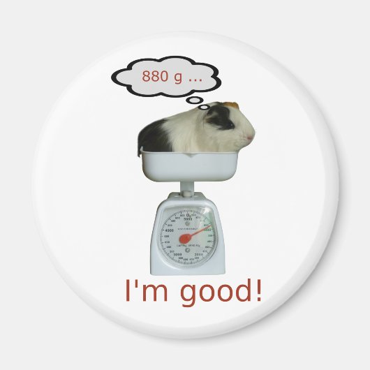 モルモット健康 マグネット (正面)