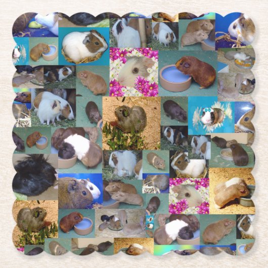 モルモット写真コラージュ ペーパーコースター (正面)