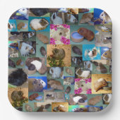 モルモット写真コラージュ ペーパープレート (正面)