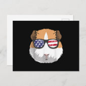 モルモット愛国アメリカ7月4日アメリカかわいい ポストカード (正面/裏面)