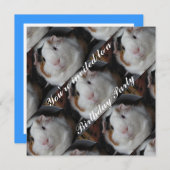 モルモット招待状 招待状 (正面/裏面)