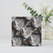 モルモット招待状 招待状 (スタンド正面)