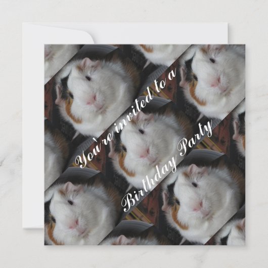 モルモット招待状 招待状 (正面)