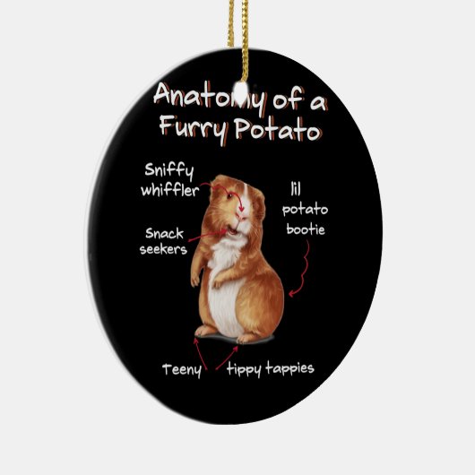 モルモット毛皮のポテトペットおもしろいの解剖学 セラミックオーナメント (右)