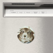 モルモット磁石 マグネット (インサイチュ (食洗機))