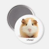 モルモット磁石 マグネット (正面/裏面)