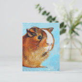 モルモット絵画ズ ポストカード (スタンド正面)