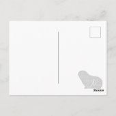 モルモット葉書 ポストカード (裏面)