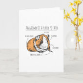 モルモット解剖学 カード (黄色い花)