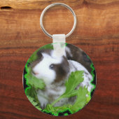 モルモット鍵鎖 キーホルダー (正面)