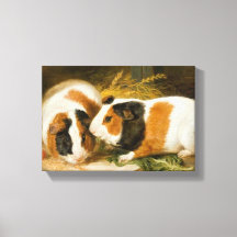 モルモット食べ物を与えのペット(James Ward)