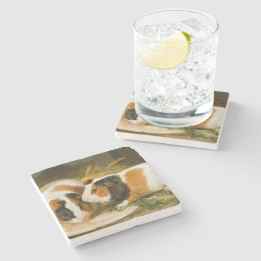 モルモット食べ物を与えのペット(James Ward) ストーンコースター (横)