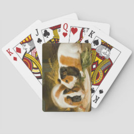 モルモット食べ物を与えのペット(James Ward) トランプ