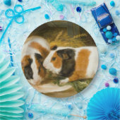 モルモット食べ物を与えのペット(James Ward) ペーパープレート (パーティー)