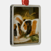 モルモット食べ物を与えのペット(James Ward) メタルオーナメント (右)