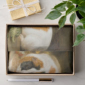 モルモット食べ物を与えのペット(James Ward) 薄葉紙 (ギフト)