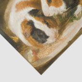 モルモット食べ物を与えのペット(James Ward) 薄葉紙 (詳細)