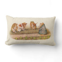 モルモット飼育園