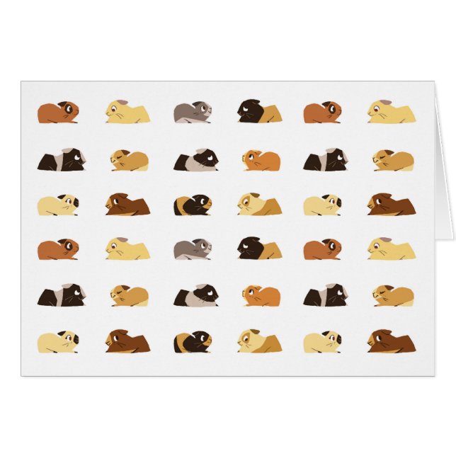 モルモット (正面横)