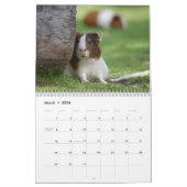 モルモット2025年カレンダー カレンダー (3月 2026)