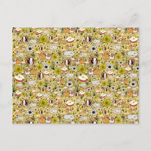 モルモット・イン・イエロー ポストカード (正面)