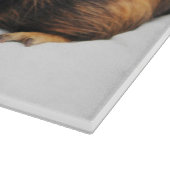 モルモット カッティングボード (角)