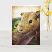 モルモット カード (黄色い花)