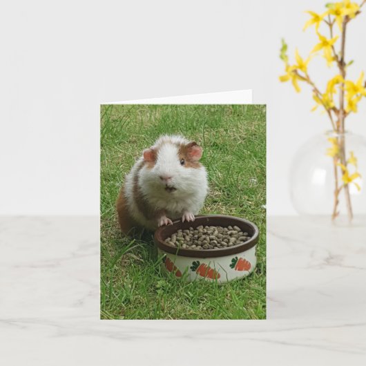 モルモット・カード カード (黄色い花)