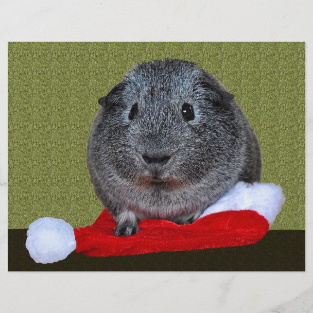 モルモット・クリスマス (正面)