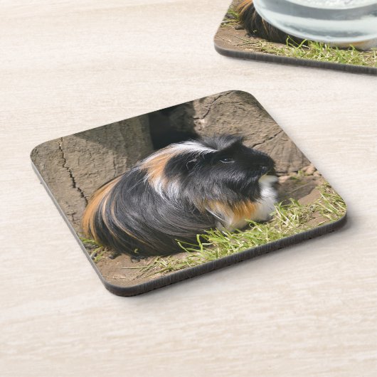 モルモット コースター (左側)