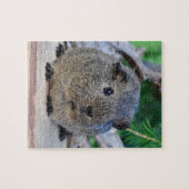 モルモット ジグソーパズル (横)