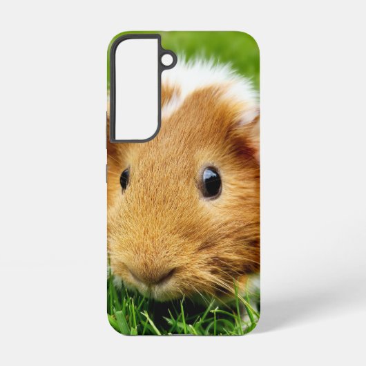 モルモット スマホケース SAMSUNG GALAXYケース (裏面)