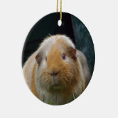 モルモット セラミックオーナメント (右)