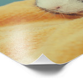 モルモット フォトプリント            (角)