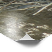 モルモット フォトプリント            (角)