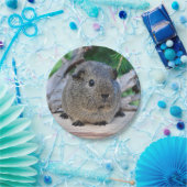 モルモット ペーパープレート (パーティー)