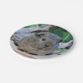 モルモット ペーパープレート (アングル)