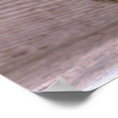 モルモット ポスター (角)