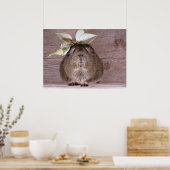 モルモット ポスター (キッチン)