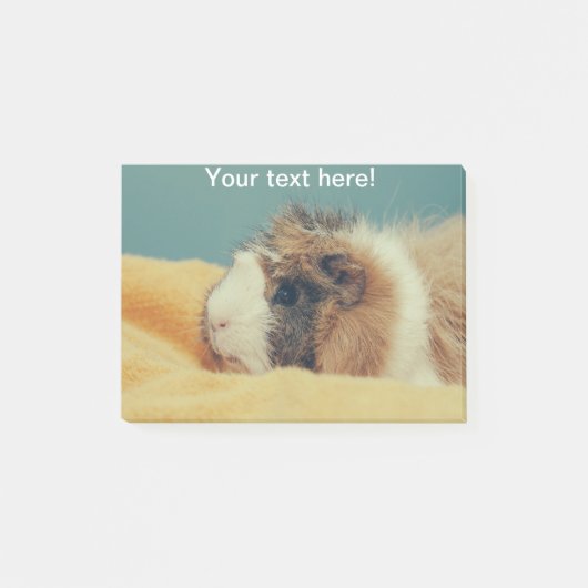 モルモット ポストイット (正面)